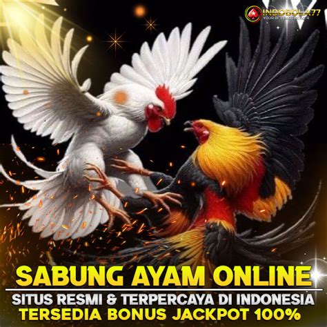 SVV388 – Situs Sabung Ayam Online Terpercaya Indonesia.